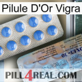 Vigra Gold Pill 39